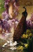 Eugene Bidau A Peacock and Doves in a Garden France oil painting artist